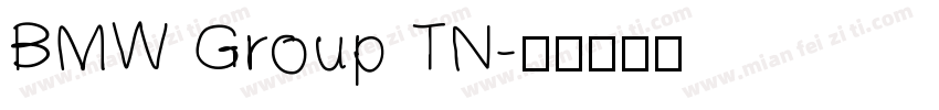BMW Group TN字体转换